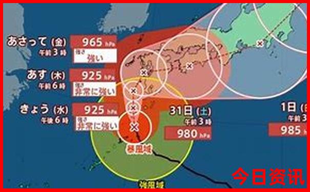 最新动态2025最新爆料全年正版正版资料全新发布大全-2025全年正版资料大全